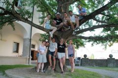 2012_JTF64
